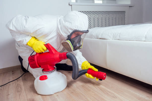 Best Pest Exclusion Services  in Franklinton, LA